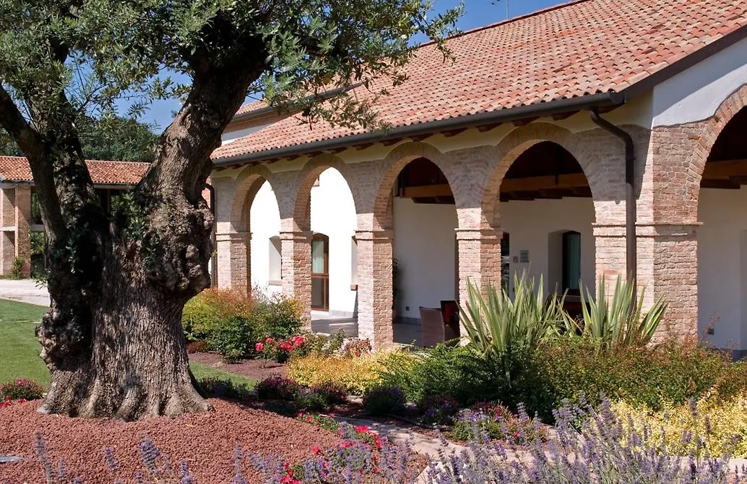 Annia Park Hotel Venice Airport-1